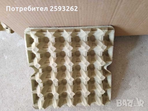 Продавам кори за яйца , снимка 9 - Кокошки и пуйки - 28068248