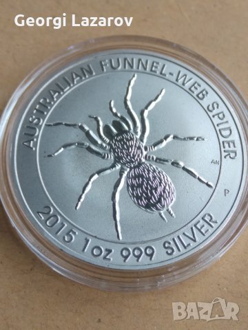 паяк от австралия