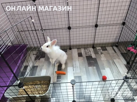 Клетка - ограждение за котки, кучета, зайци и други домашни любимци., снимка 3 - Други стоки за животни - 52066403