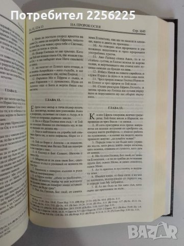 Библия, снимка 3 - Езотерика - 47819106