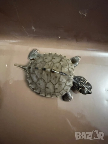 Продавам водни костенурки , снимка 7 - Костенурки - 53465838