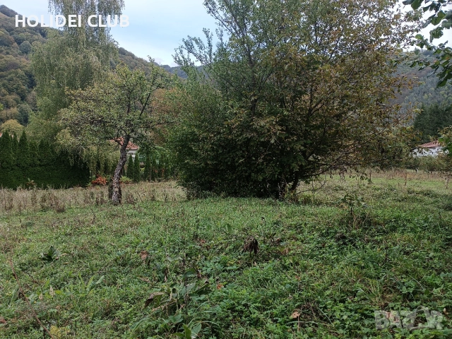 Продава   парцел в  с.Рибарица