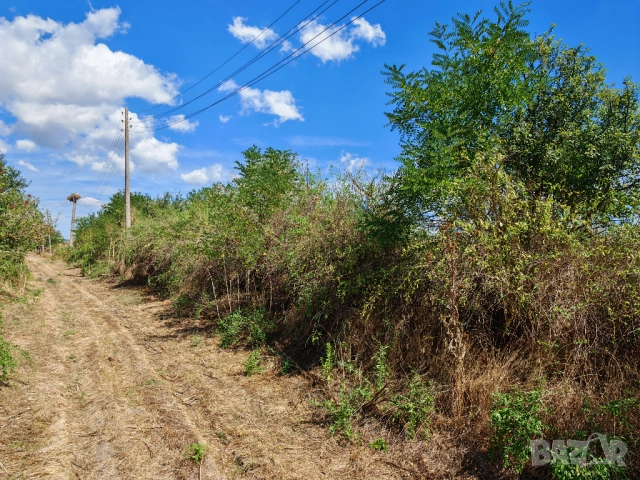 Продава се дворно място 2000м² , снимка 3 - Парцели - 51712104