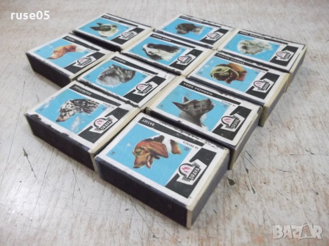 Лот от 10 бр. неизползвани кибрита с образи на кучета, снимка 5 - Други ценни предмети - 27962526