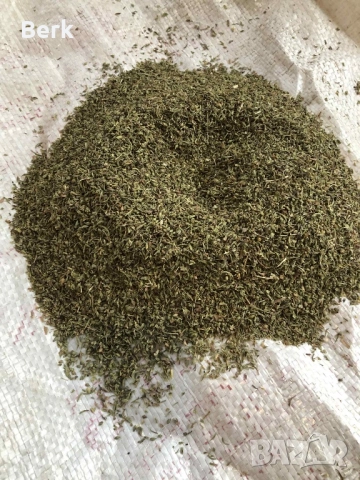 Семена от чубрица