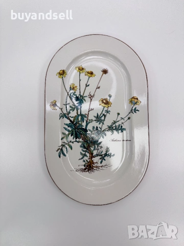 Villeroy & Boch Botanica чаши чинии, снимка 2 - Чинии - 53450355