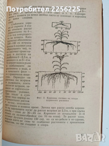 Биологични основи на агротехниката за високи добиви от полските култури, снимка 3 - Специализирана литература - 53539946