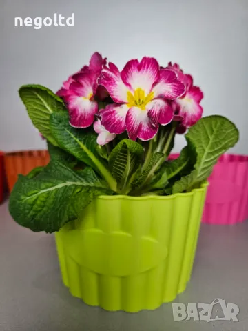 10 броя цветни кашпи само за 9.90 🤩 КАШПИ ЗА ЦВЕТЯ, снимка 3 - Саксии и кашпи - 48779945