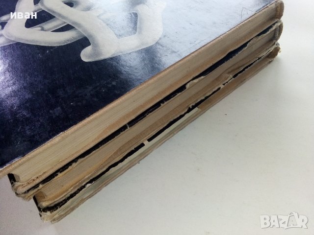 Молекулы и клетки - Сборник - 1966г. , снимка 10 - Специализирана литература - 39010775