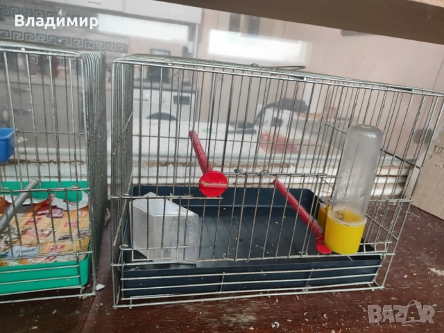 Кафези, снимка 2 - Канари - 53503640