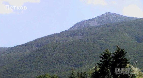 Просторен регулиран парцел в кв. Княжево, с виза за строеж, снимка 5 - Парцели - 53468373