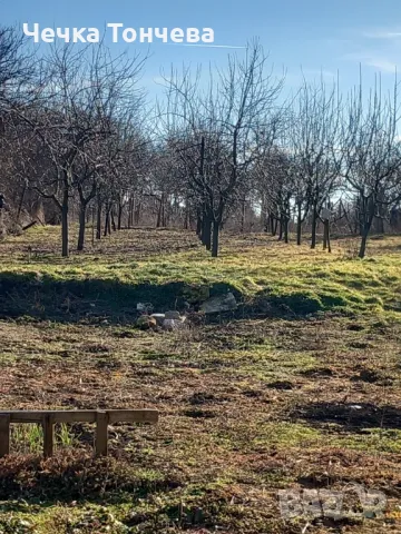 Продавам къща  село Телериг, област Добрич , снимка 9 - Къщи - 49405461