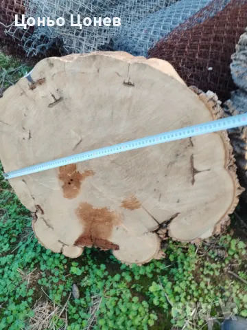 ЯСЕН ЗА ПЛОТОВЕ НА МАСИ НА ДИСКОВЕ, СУХ , снимка 3 - Маси - 47558728