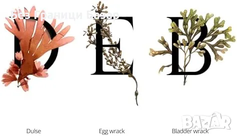 Нов Луксозен крем с водорасли против бръчки, за зимна грижа, 50 грама, снимка 2 - Козметика за лице - 47366995