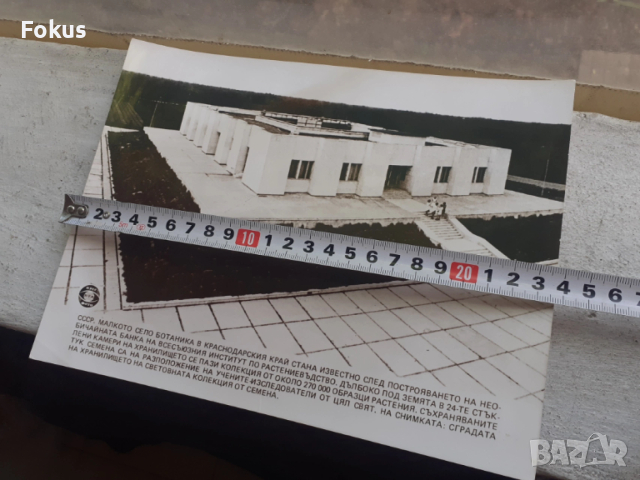 Снимка фотокопие Соц БТА ПресФото хранилище СССР, снимка 4 - Антикварни и старинни предмети - 53330460