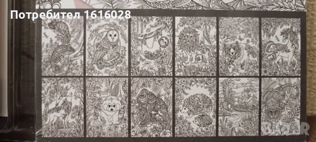 Крафт комплект за рисуване и арт книга Екзотична джунгла за оцветяване., снимка 4 - Картини - 44020855