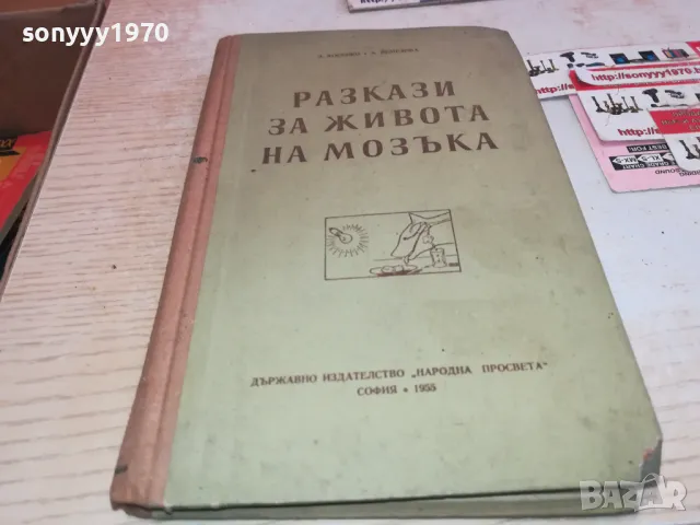 РАЗКАЗИ ЗА ЖИВОТА НА МОЗЪКА 1901251411, снимка 3 - Специализирана литература - 48739259