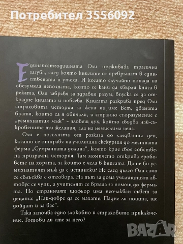 Книга на Елизабет Арден, снимка 2 - Художествена литература - 53383978