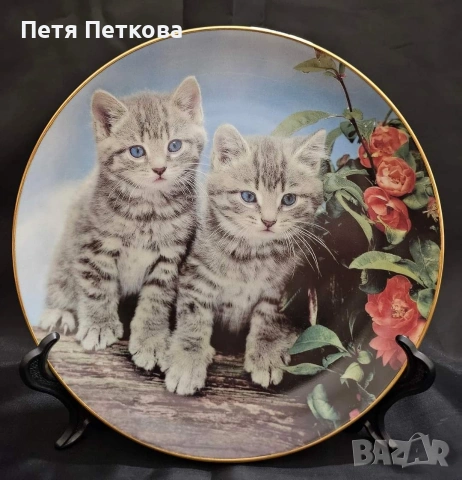 Чинии за стена , снимка 4 - Декорация за дома - 53059209