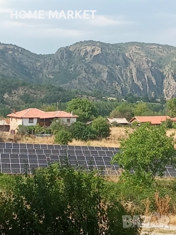 Земеделска земя под наем , снимка 3 - Земеделска земя - 52392531