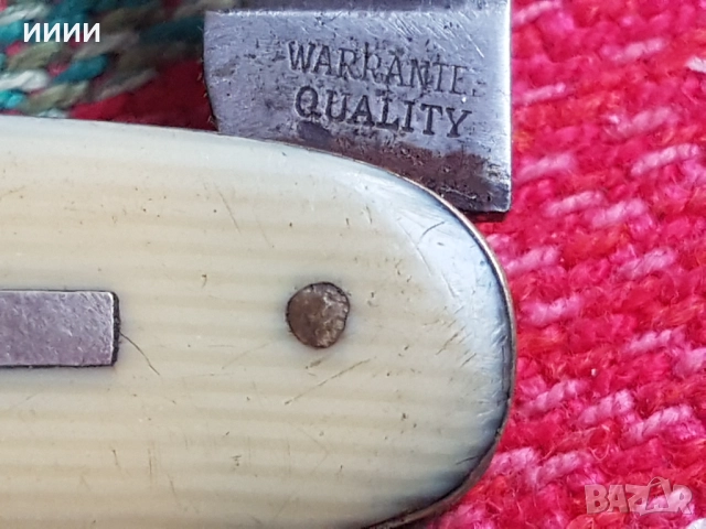 Ножка слонова кост , снимка 5 - Антикварни и старинни предмети - 52573779