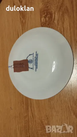 Красива порцеланова чиния от Бостън,Сащ., снимка 3 - Други - 48708977