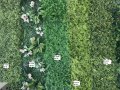 Изкуствена трева пано 60х40см модели, снимка 3