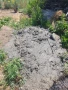 Почистване на Кладенци-Герани , снимка 2