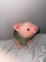 Плюшено прасе MINISO, снимка 3