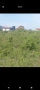 Парцел в Асеновград , снимка 2