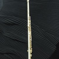 Посребрена флейта Buffet Crampon&Sie A Paris ,Series ll, снимка 1 - Духови инструменти - 37035266