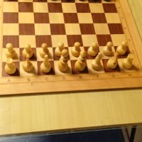 Професионален шах с фигурите, снимка 4 - Шах и табла - 42968214