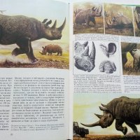 Тайните на животните - В Планините/В Саваните - 1992г. , снимка 5 - Енциклопедии, справочници - 43906964