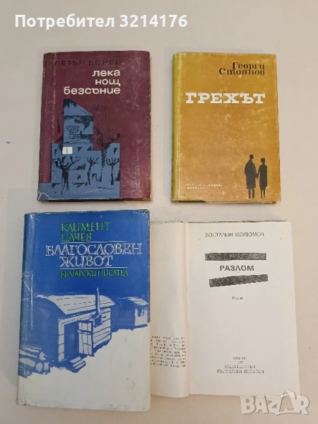 Грехът - Георги Стоянов, снимка 1