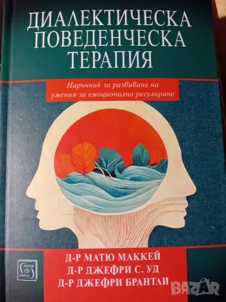Диалектическа поведенческа терапия , снимка 1