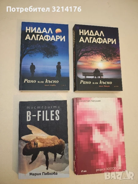 Мистерията B-files - Мария Павлова, снимка 1