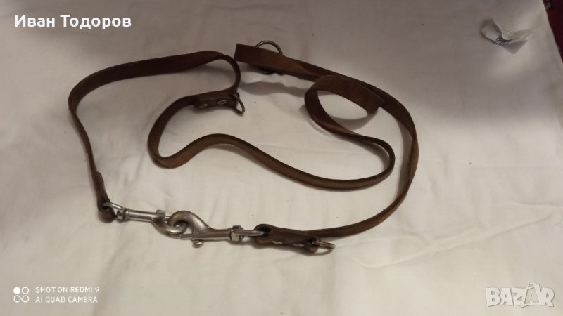 Кайшка за куче, снимка 1