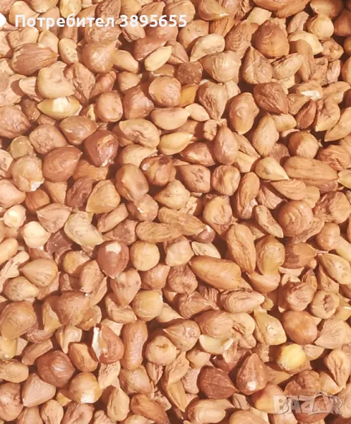 БИО Лешници "Дончеви" Собствено производство, снимка 1