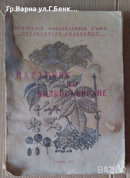 Наръчник по билкосъбиране  ЦКС  1963г , снимка 1