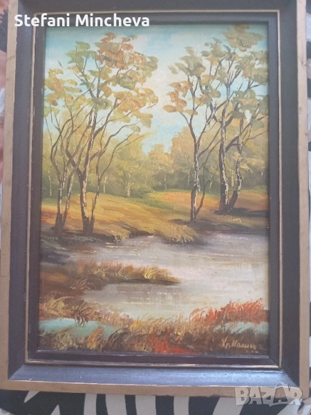 Картина със Рамка на Художника Хр. Иванов рисувана върху фазер., снимка 1