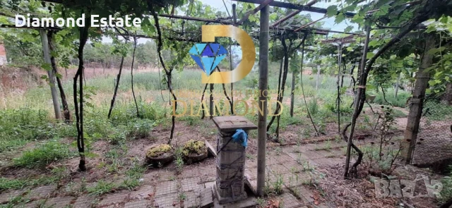 Едноетажна къща в село Криво поле, обл. Хасково, снимка 6 - Къщи - 50961391