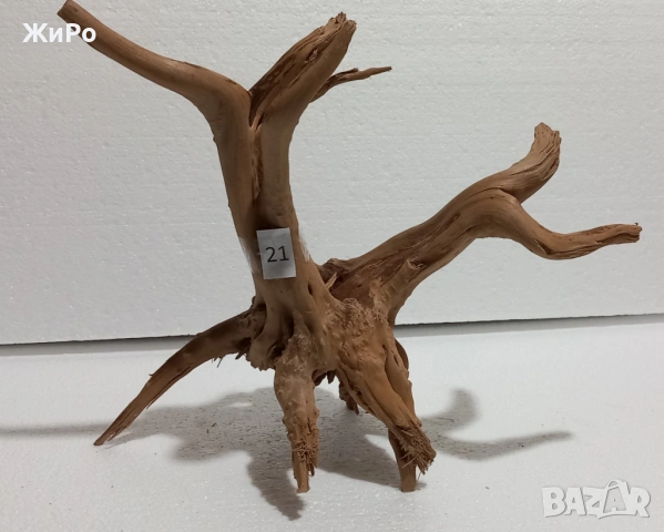 Корен от Азалия /декорация/ 21