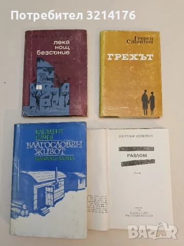 Грехът - Георги Стоянов