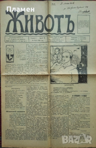 Животъ. Седмичникъ отъ живота за живота. Год. 1: Бр. 1, 4, 7, 9, 10 / 1929, снимка 10 - Антикварни и старинни предмети - 52753413