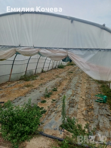Продавам оранжерия , снимка 10 - Оранжерии - 53282195