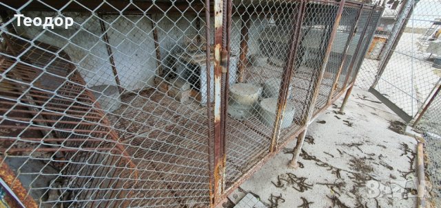 Зайчарници с.Скутаре, Пловдивско, снимка 12 - За селскостопански - 38820961