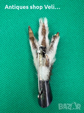 Ловна брошка/ трофей №7347, снимка 4 - Други - 51420314