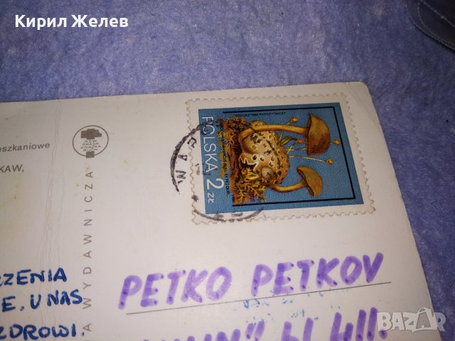 ЛОТ 4 Стари ПОЩЕНСКИ КАРТИЧКИ ФЛОРАЛНА ТЕМАТИКА ЦВЕТЯ ХИСАРЯ ВАРШАВА 36017, снимка 9 - Филателия - 39421544