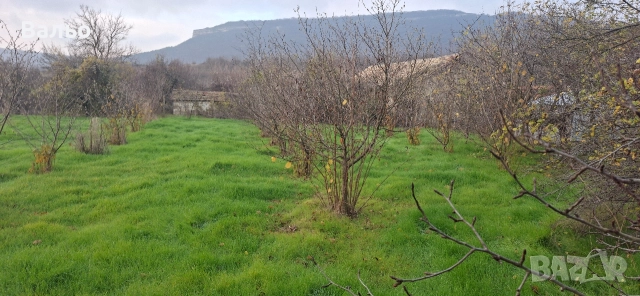 Имот в село Невша, снимка 9 - Къщи - 52774447