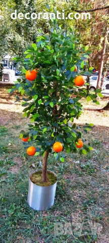 Изкуствено дърво Портокал/Лимон, снимка 4 - Декорация за дома - 51450195